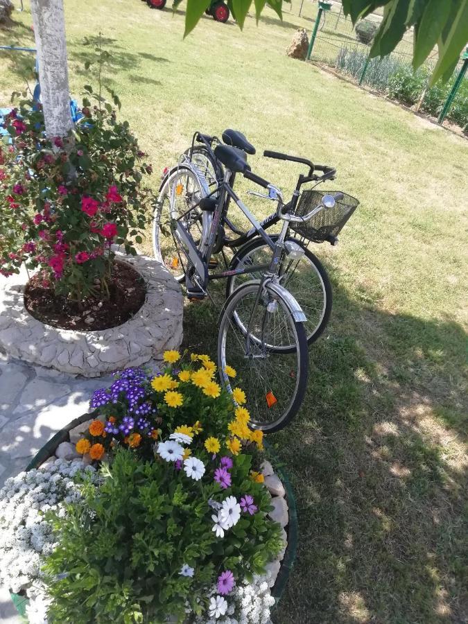 Вилла Nikini Dvori Gradac  Экстерьер фото